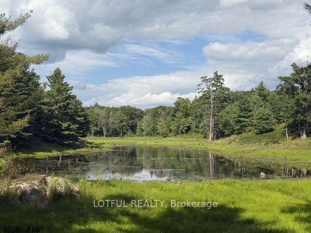 101 Maberly Station Road • Maberly, ON photo 25