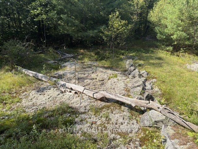 101 Maberly Station Road • Maberly, ON photo 30