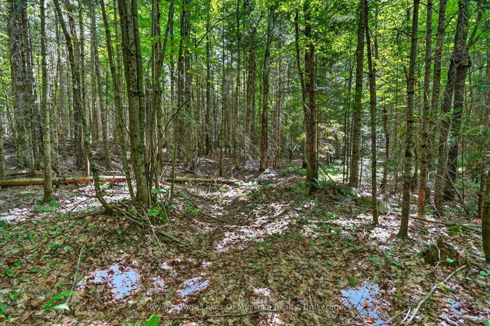 695 Bay Lake Road • Perry, ON photo 44