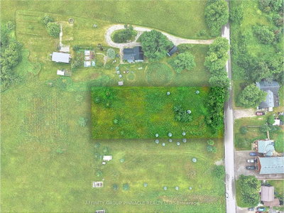 372 County 41 Road • Kawartha Lakes, ON photo 5