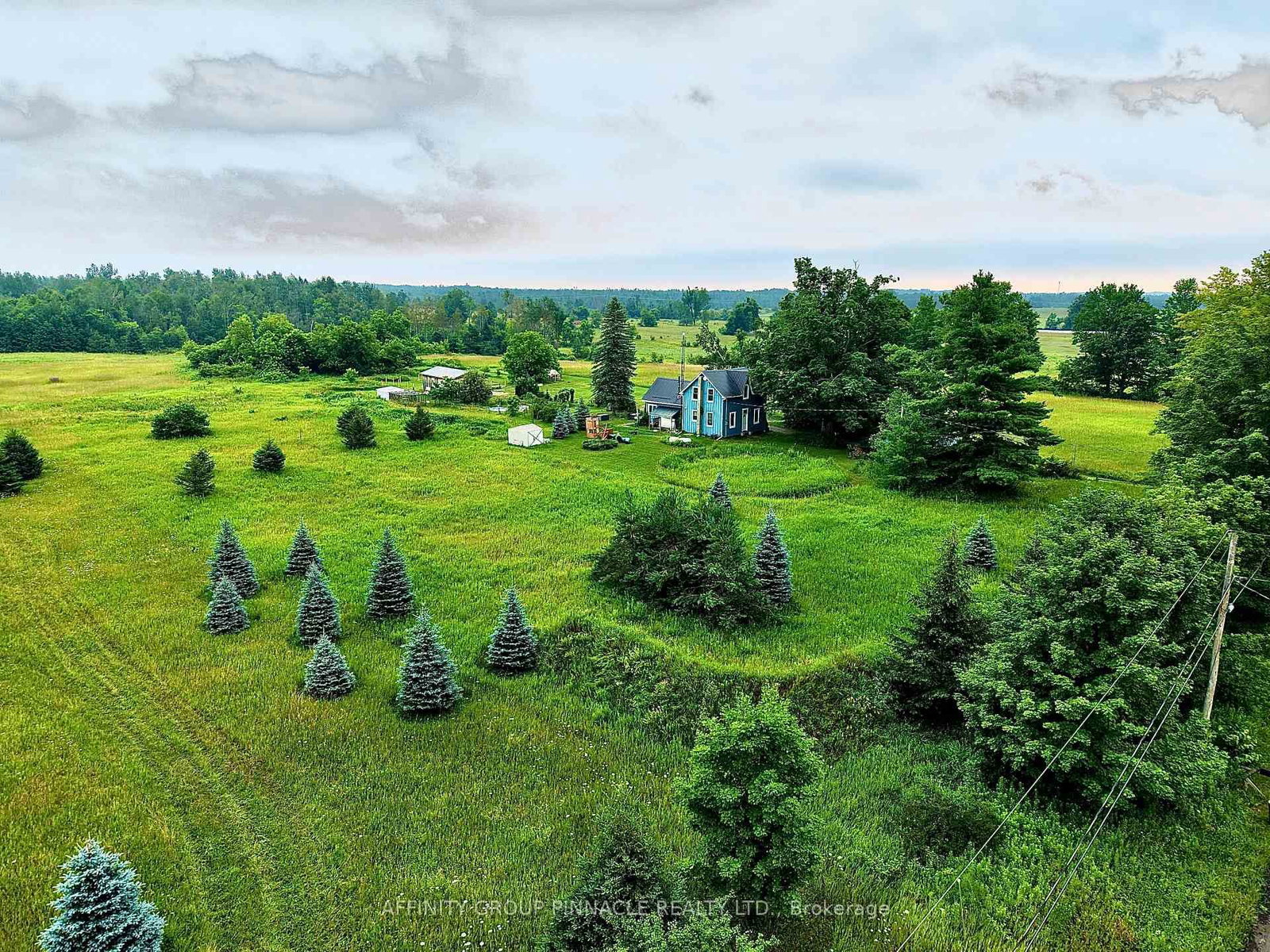 372 County 41 Road • Kawartha Lakes, ON photo 6