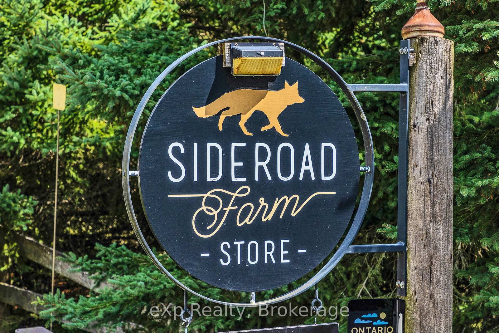 805092 Sideroad 25 • Grey Highlands, ON photo 25