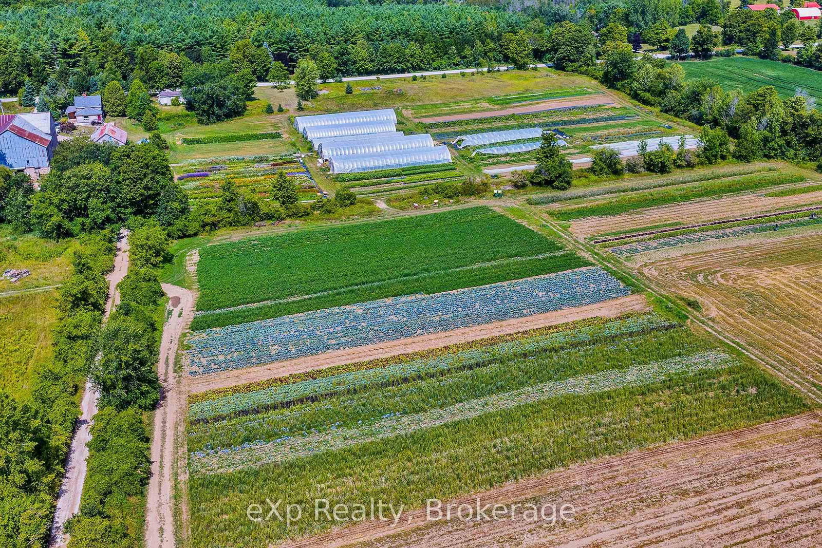 805092 Sideroad 25 • Grey Highlands, ON photo 38