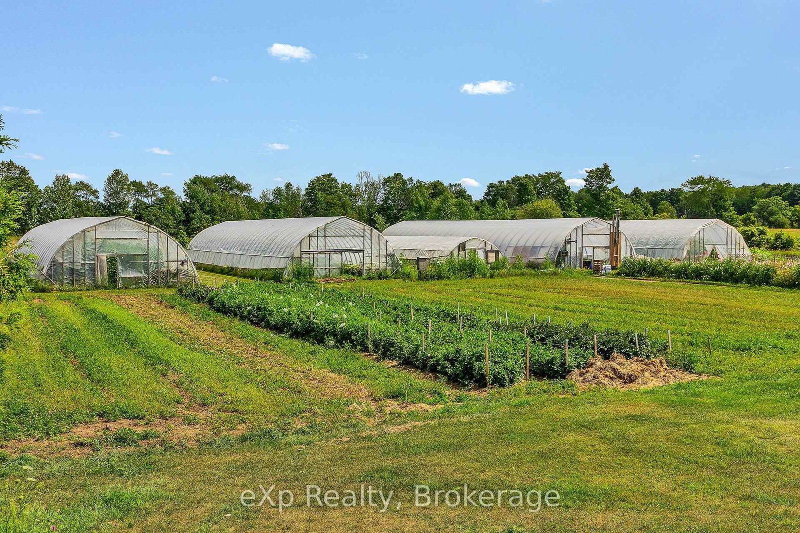 805092 Sideroad 25 • Grey Highlands, ON photo 39