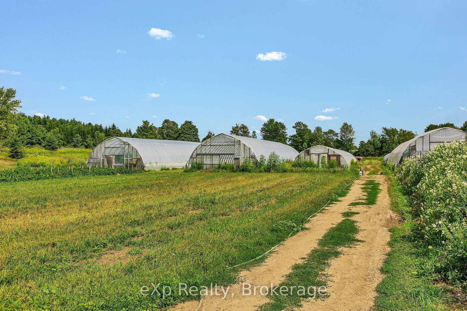 805092 Sideroad 25 • Grey Highlands, ON photo 40