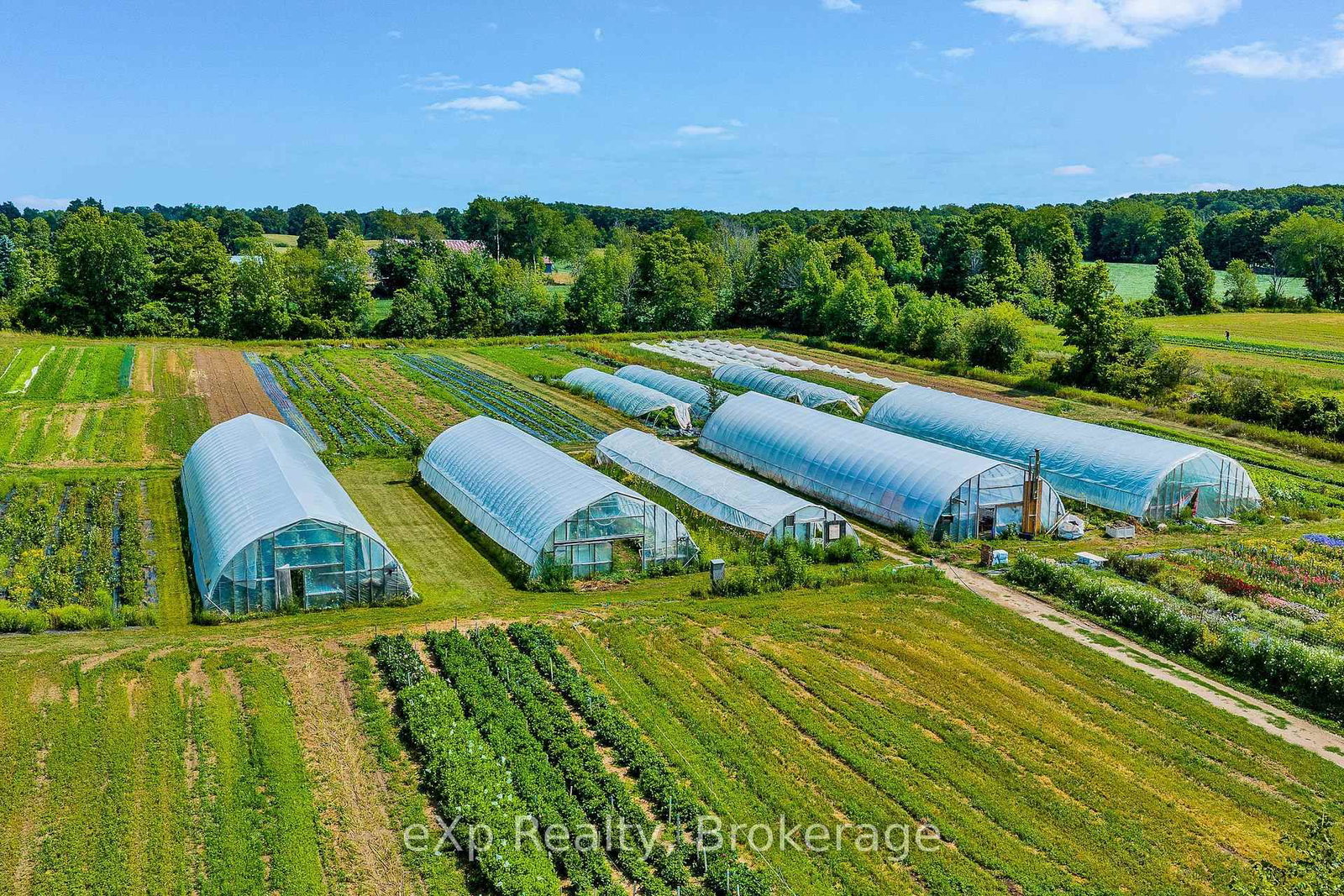 805092 Sideroad 25 • Grey Highlands, ON photo 48