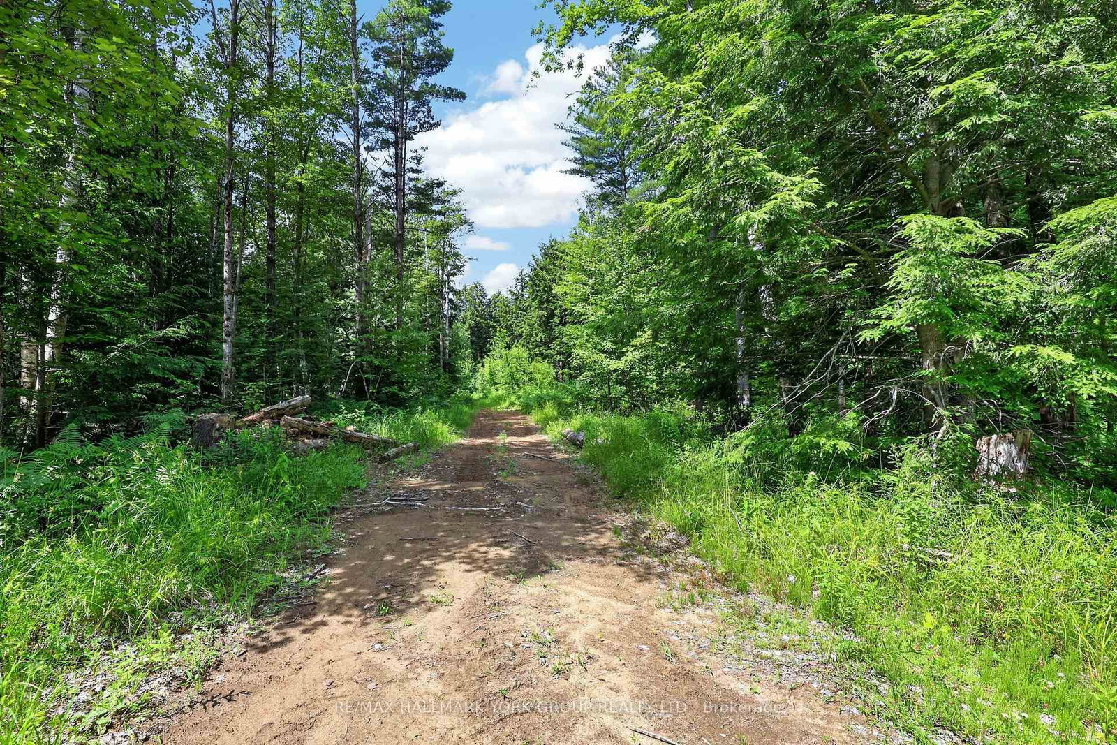2285 Southwood Road • Gravenhurst, ON photo 46