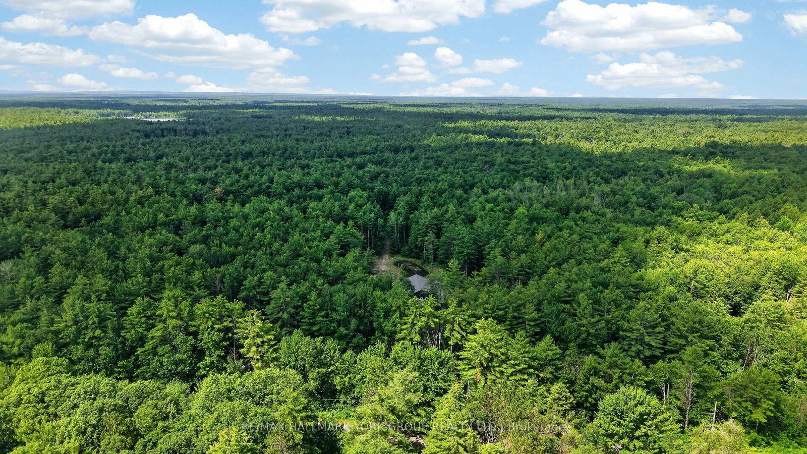2285 Southwood Road • Gravenhurst, ON photo 49