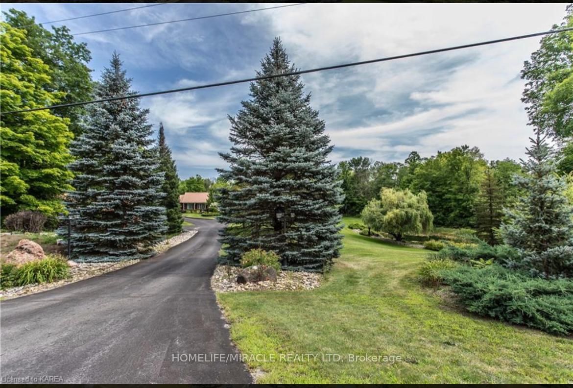 13382 Highway 38 Highway • Sharbot Lake, ON photo 6