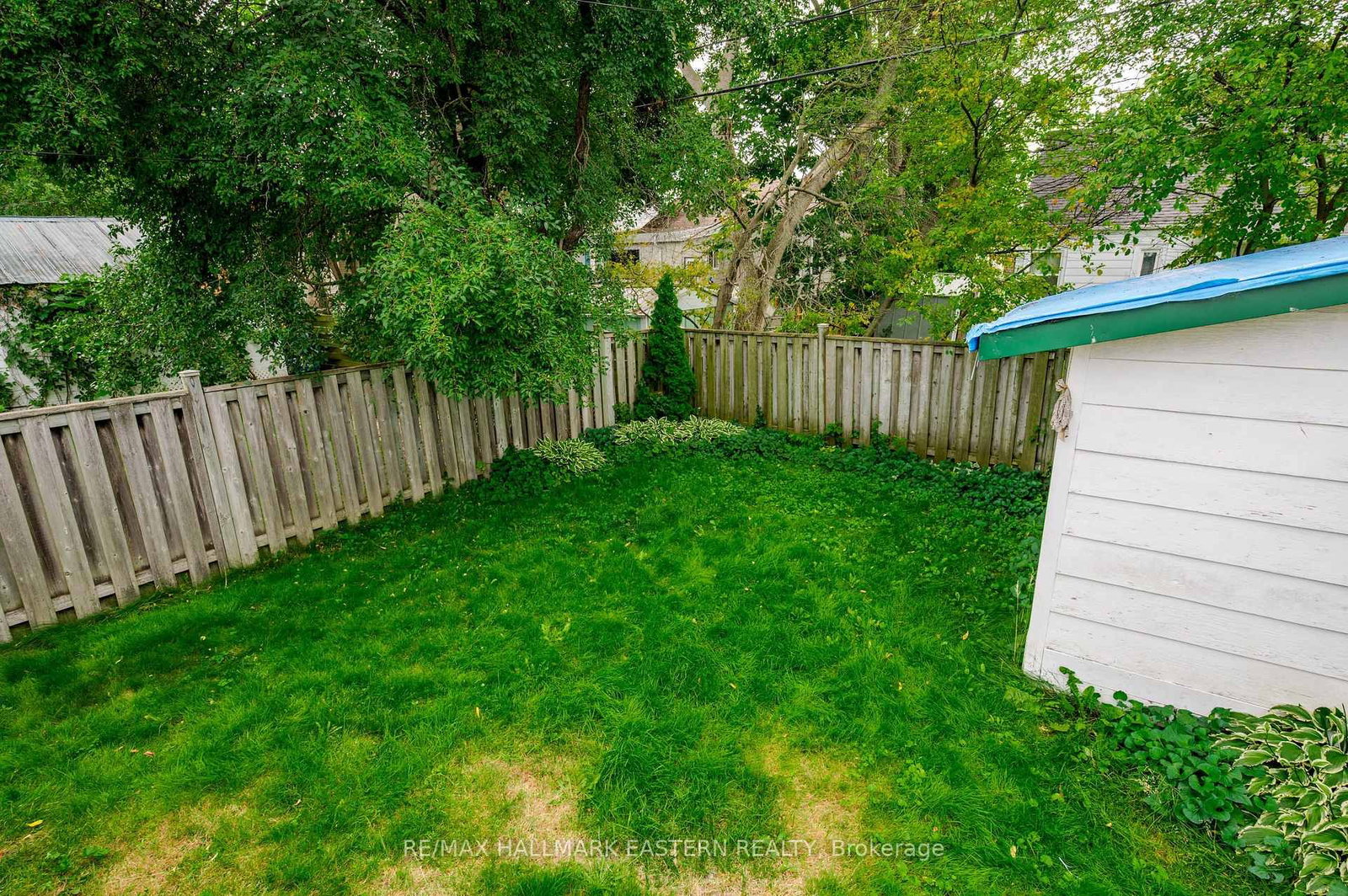 767 Duffus Street • Peterborough, ON photo 31