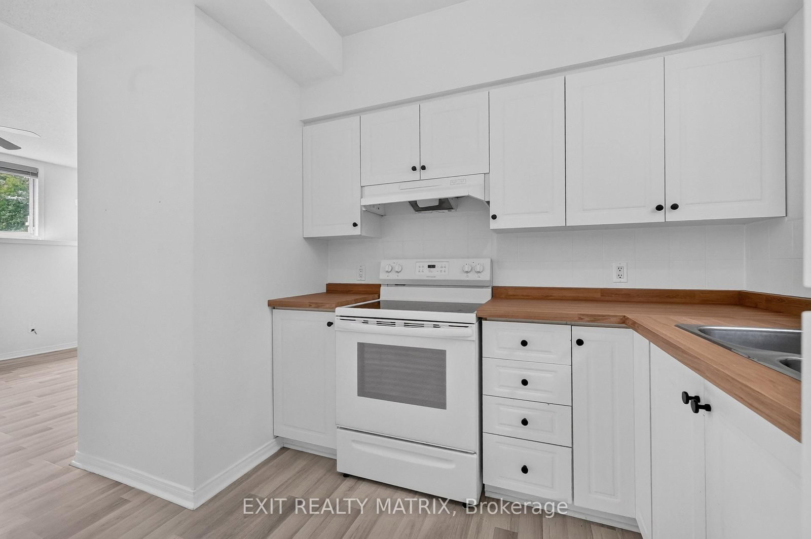 239 Stiver Street • Russell, ON photo 28