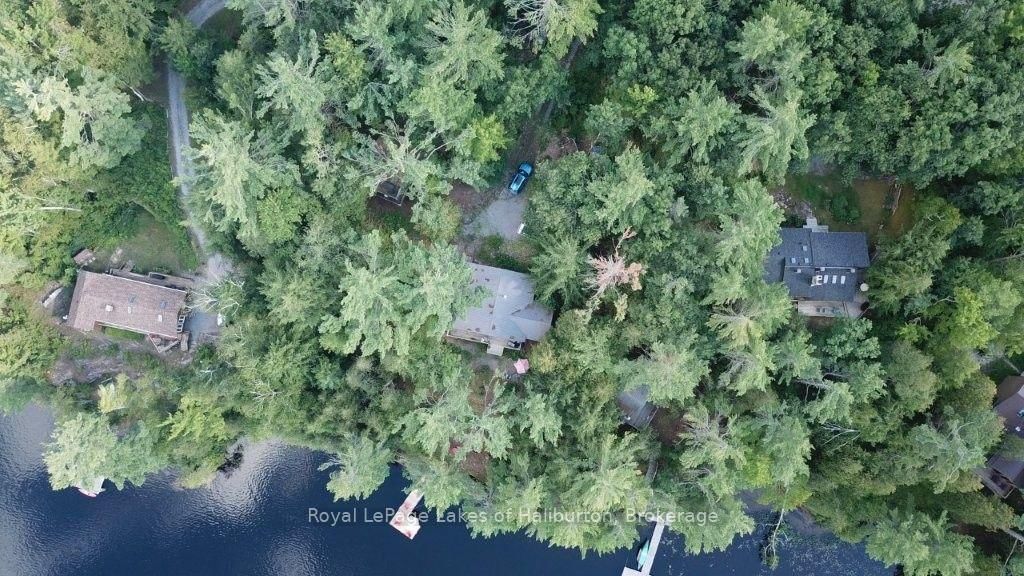 481 Crego Lake Road • Kawartha Lakes, ON photo 26