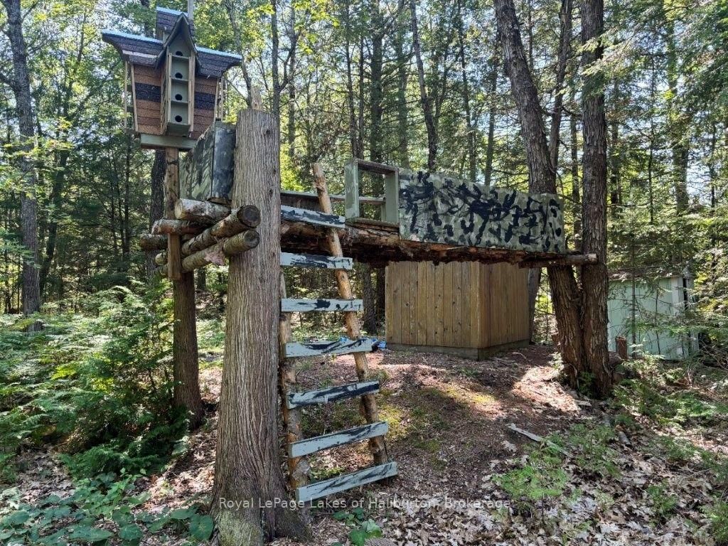 481 Crego Lake Road • Kawartha Lakes, ON photo 39