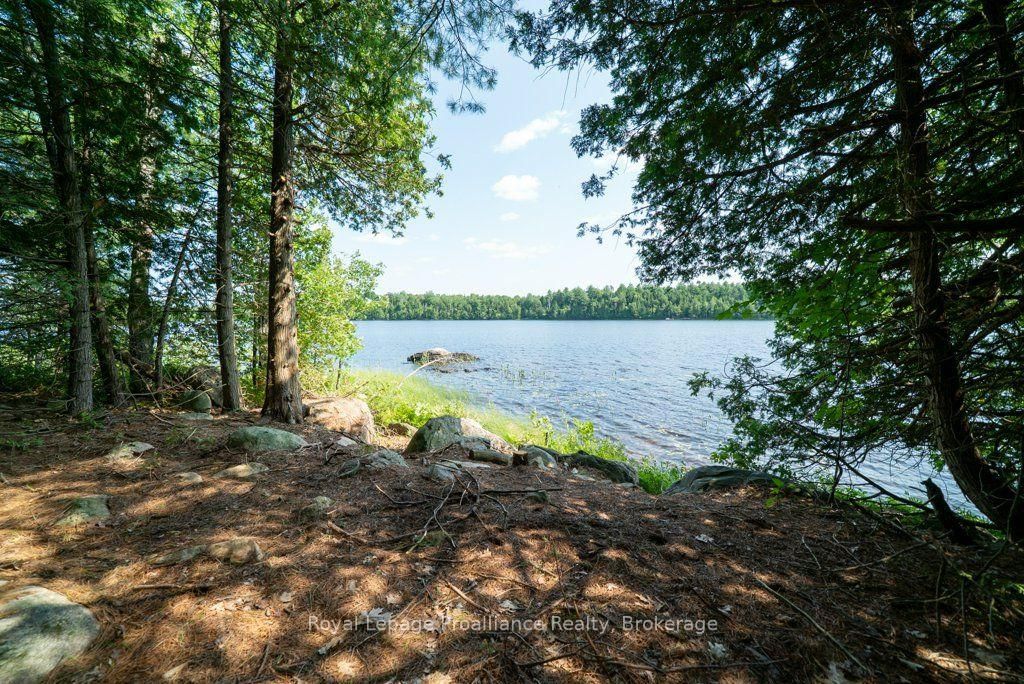 Listing Image 27