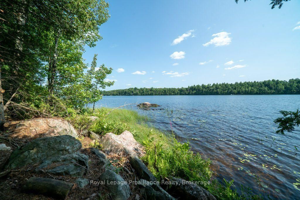 Listing Image 28