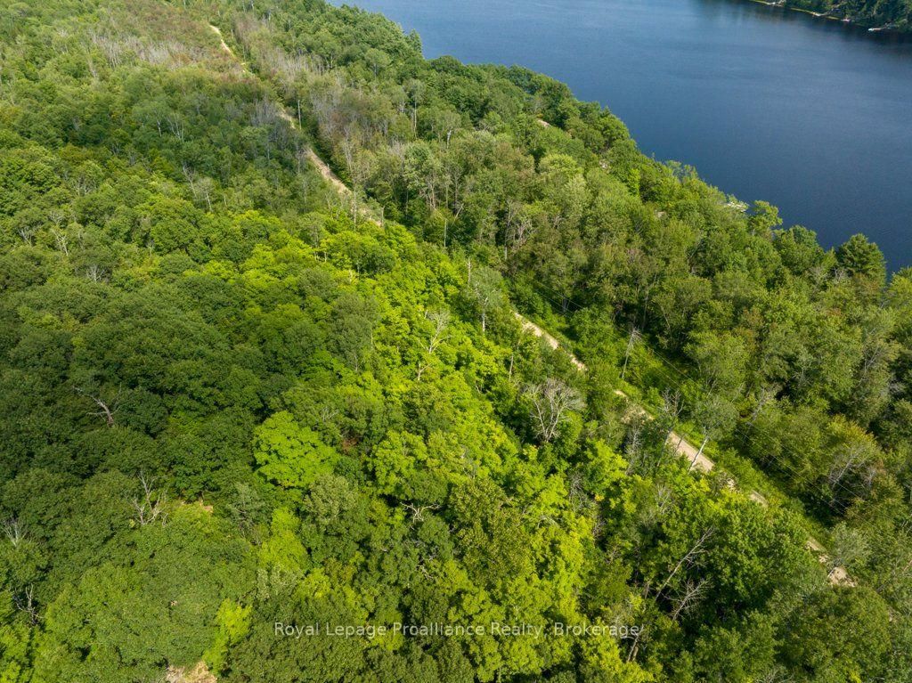 1412 Baker Valley Road • #Lot 1 • Arden, ON photo 11