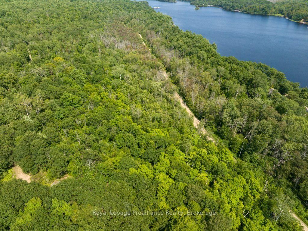 1412 Baker Valley Road • #Lot 1 • Arden, ON photo 12