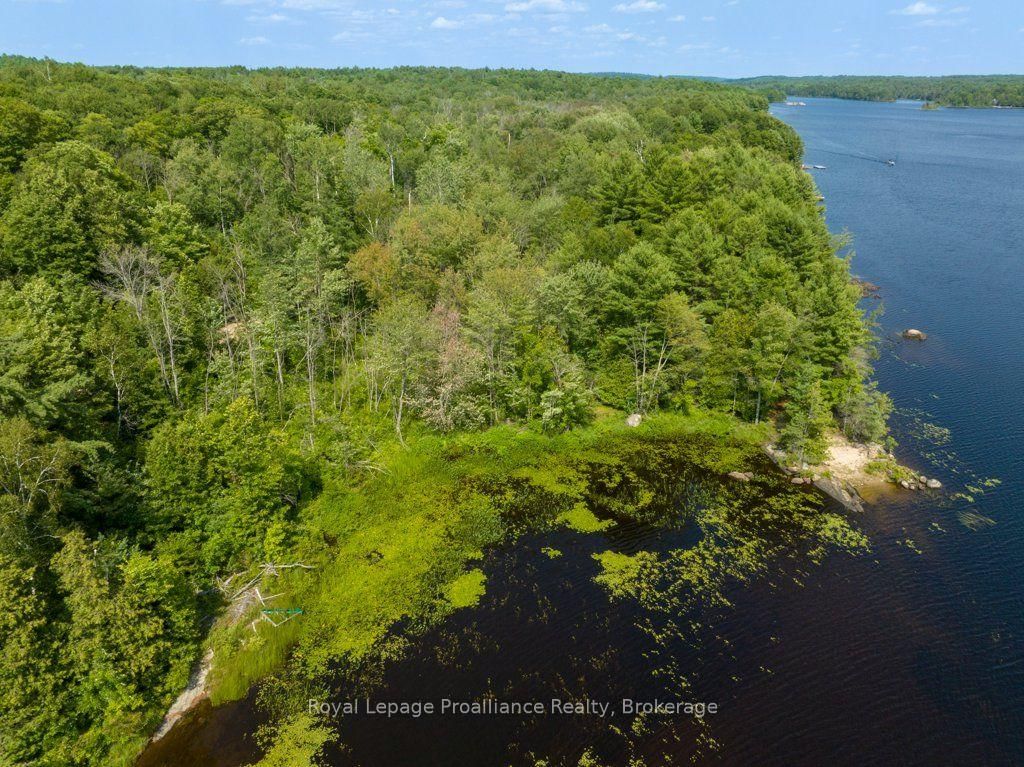 1412 Baker Valley Road • #Lot 1 • Arden, ON photo 15