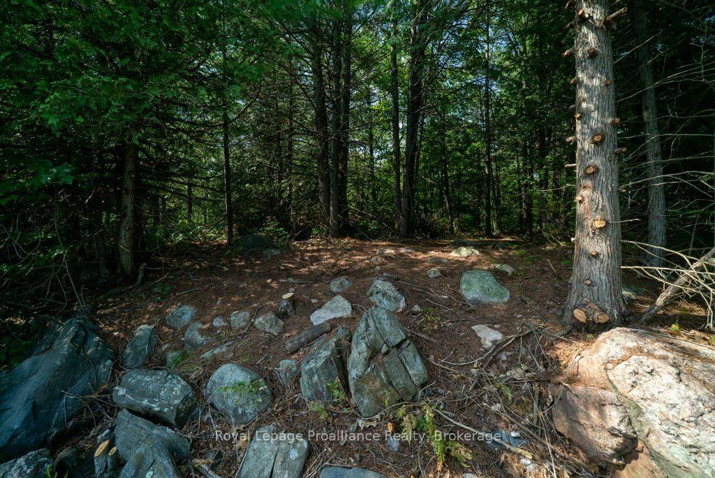 1412 Baker Valley Road • #Lot 1 • Arden, ON photo 34