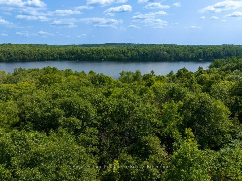 1412 Baker Valley Road • #Lot 1 • Arden, ON photo 5
