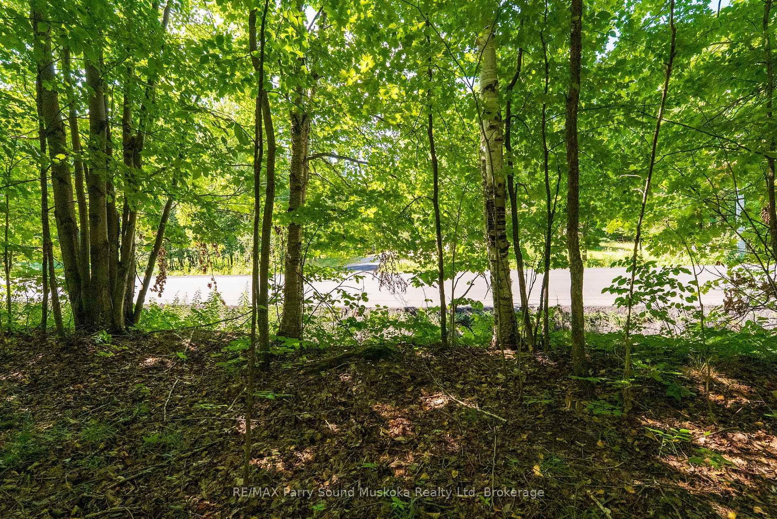 4 Mountain Basin Drive • McDougall, ON photo 11