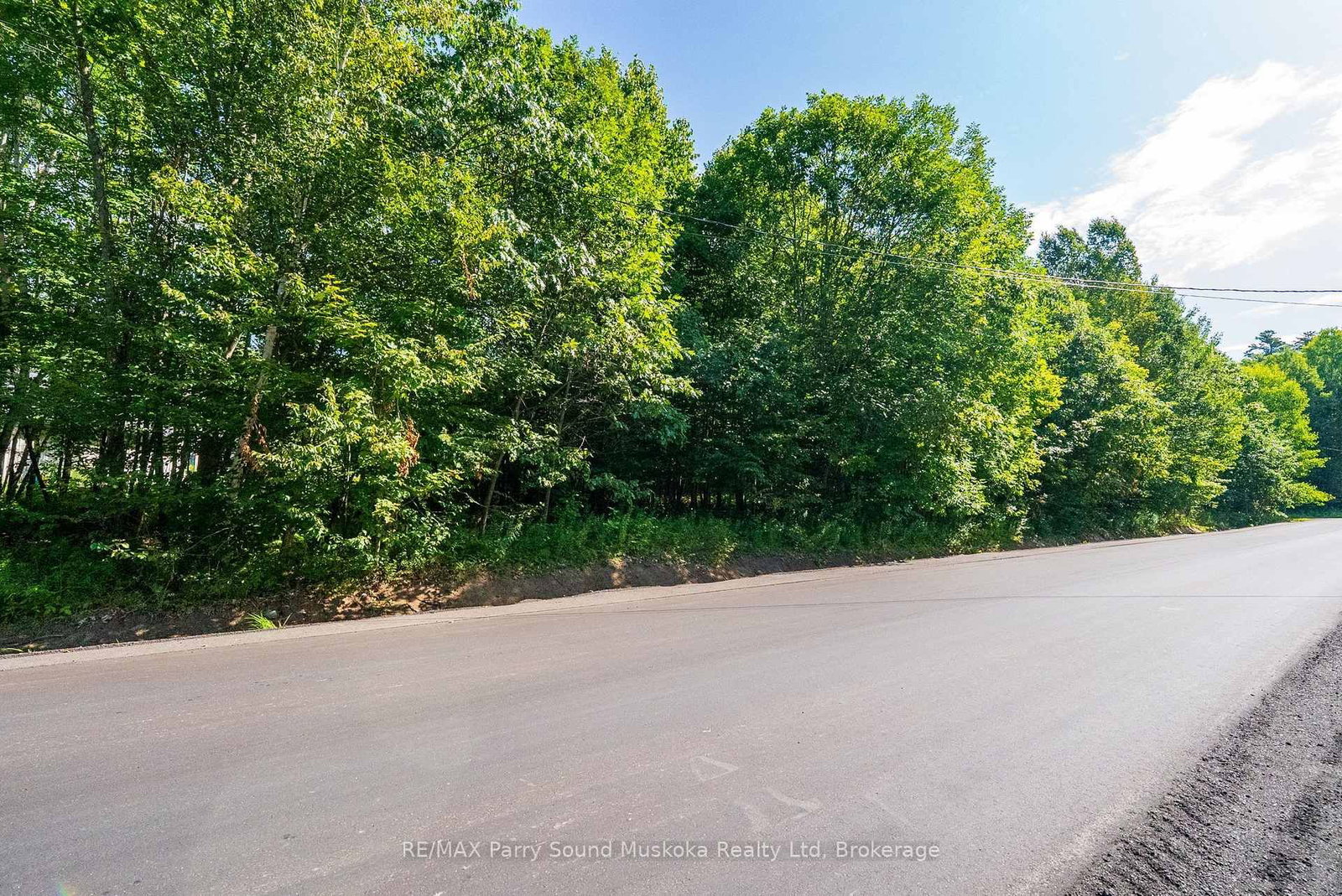 4 Mountain Basin Drive • McDougall, ON photo 14