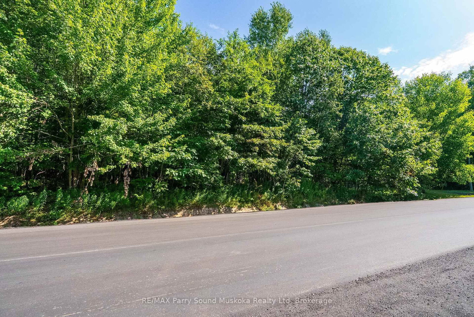 4 Mountain Basin Drive • McDougall, ON photo 15