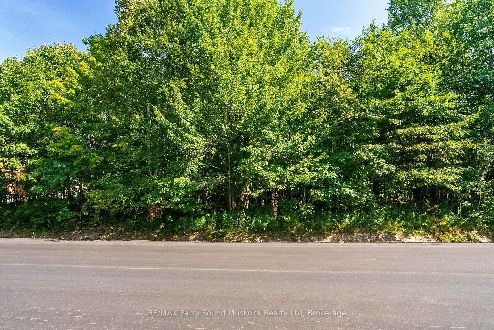 4 Mountain Basin Drive • McDougall, ON photo 16