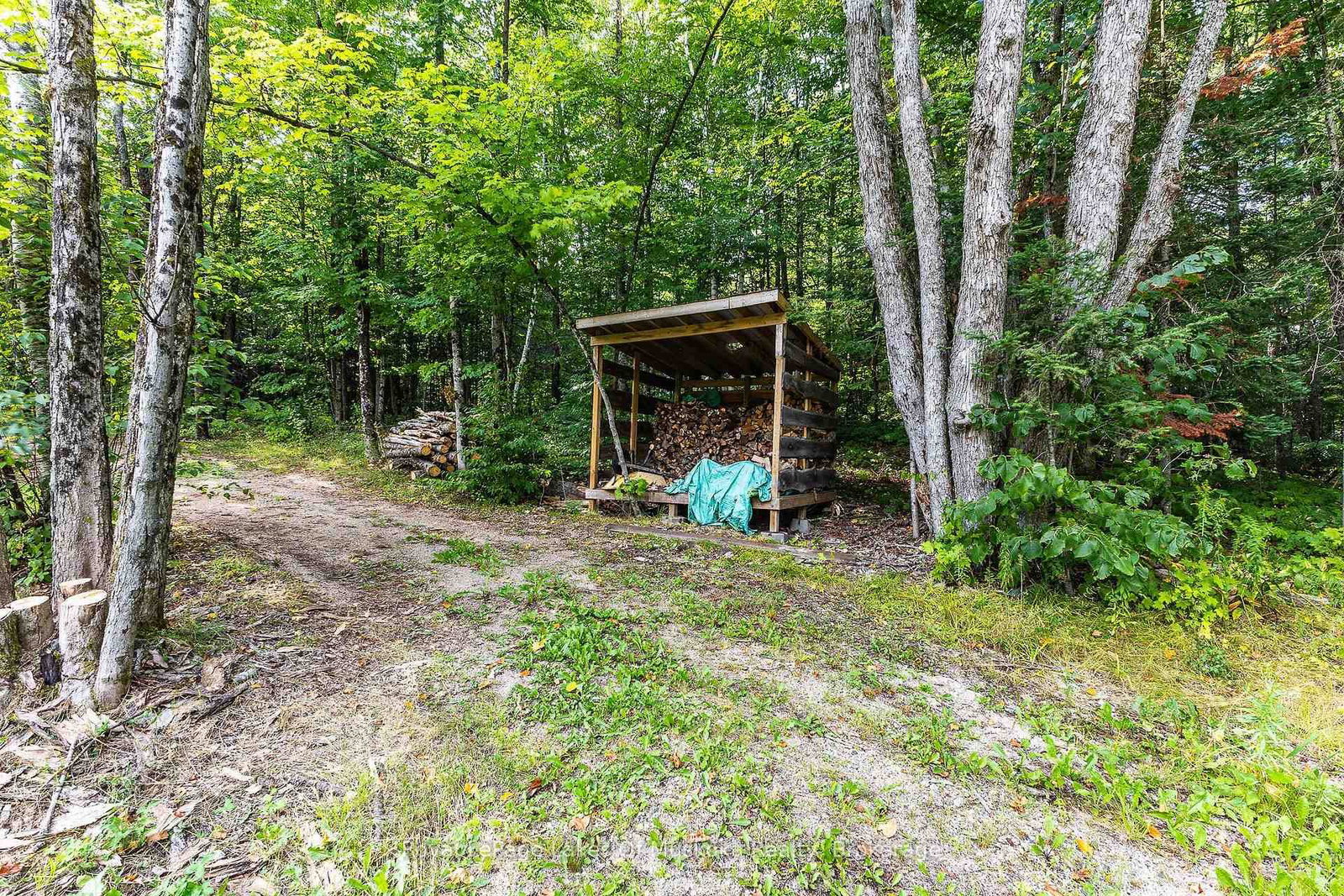 88 Rye Road • Parry Sound Remote Area, ON photo 24