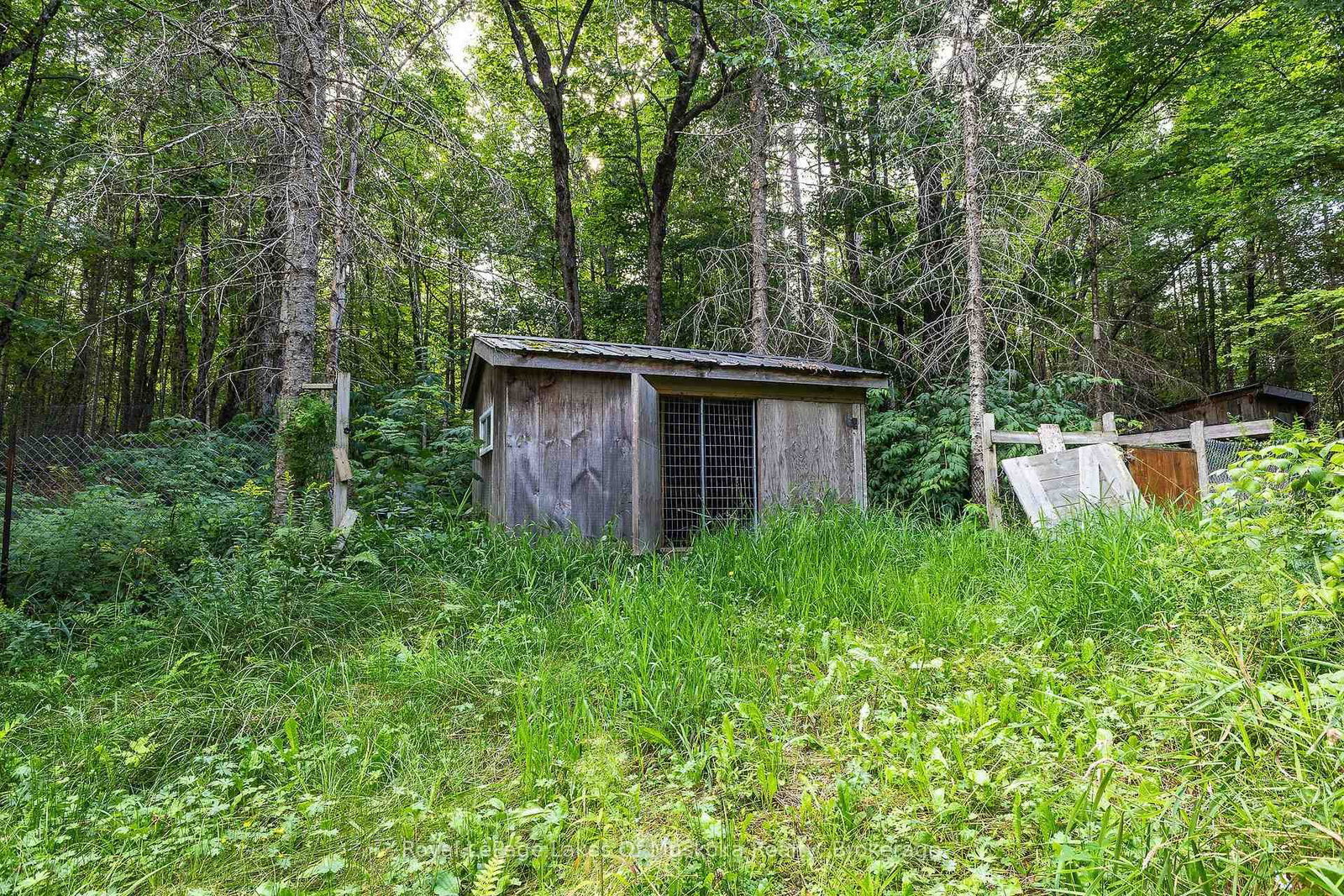 88 Rye Road • Parry Sound Remote Area, ON photo 26