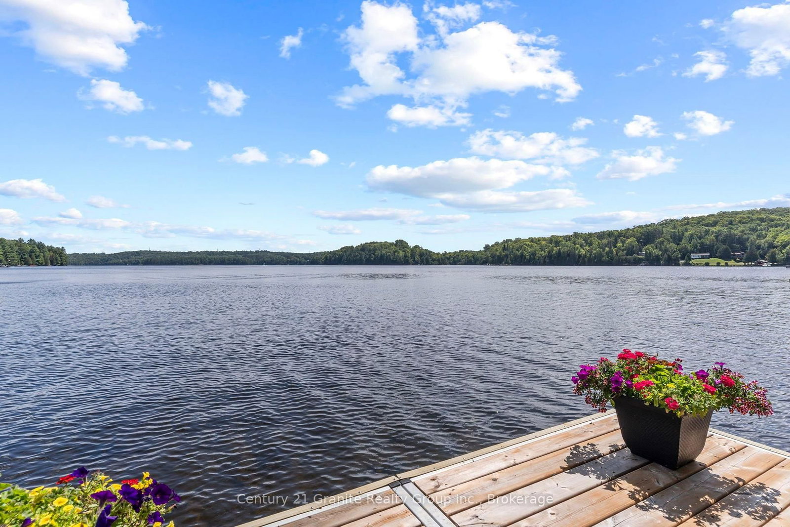 1057 Hidden Valley Lane • Minden Hills, ON photo 38