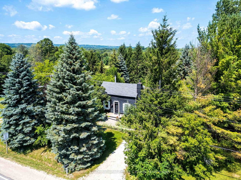 119 Matilda Street