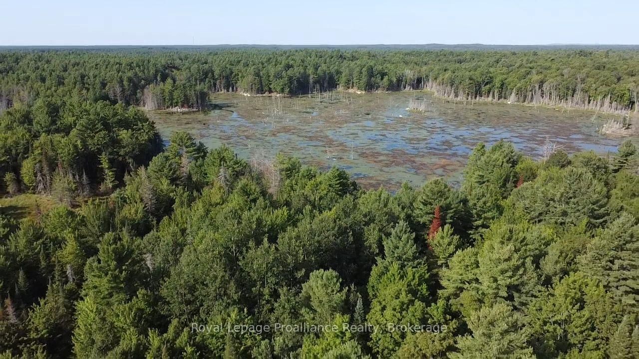 PL29C10 Kennebec Road • Addington Highlands, ON photo 13