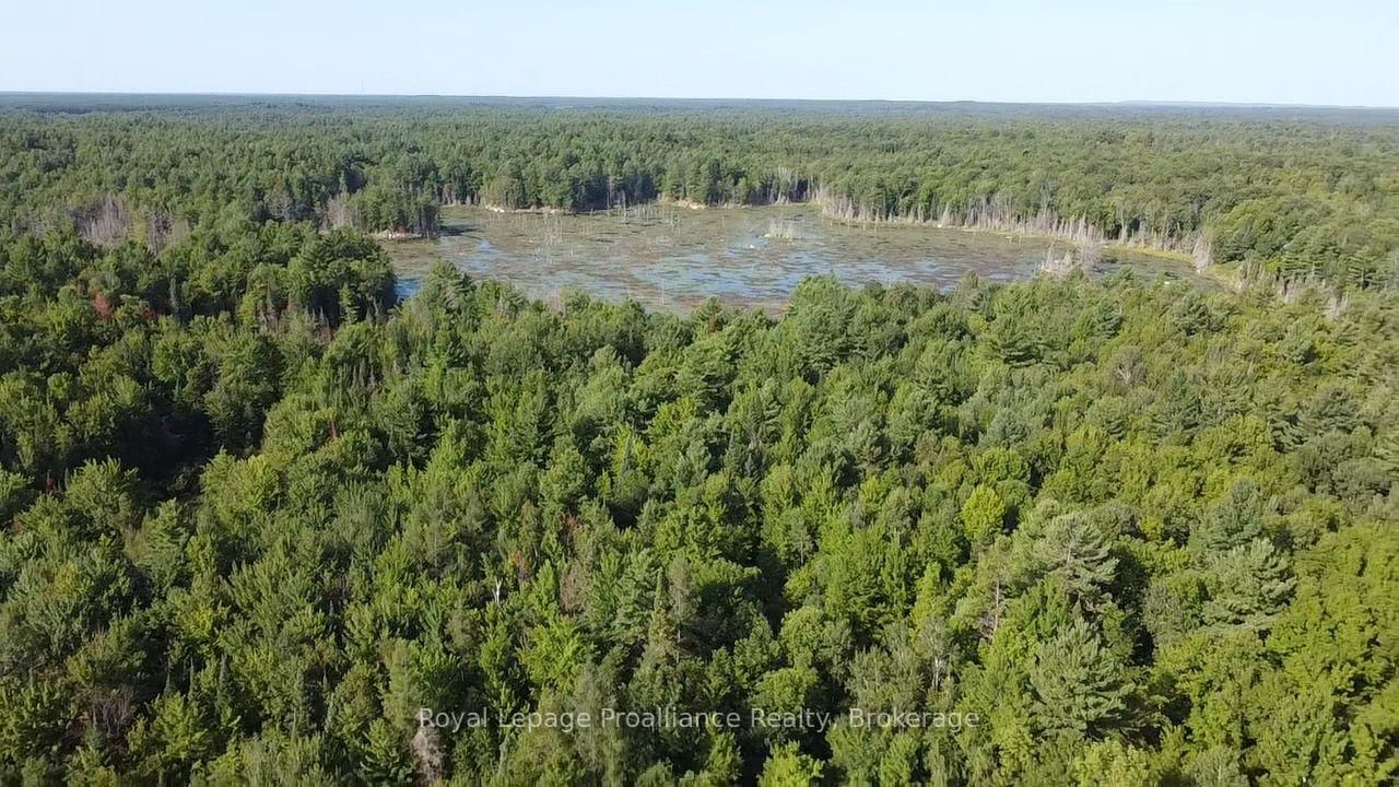 PL29C10 Kennebec Road • Addington Highlands, ON photo 14