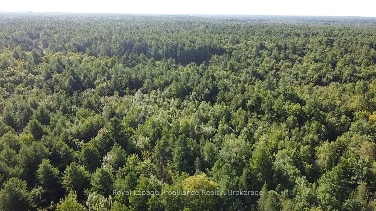 PL29C10 Kennebec Road • Addington Highlands, ON photo 15