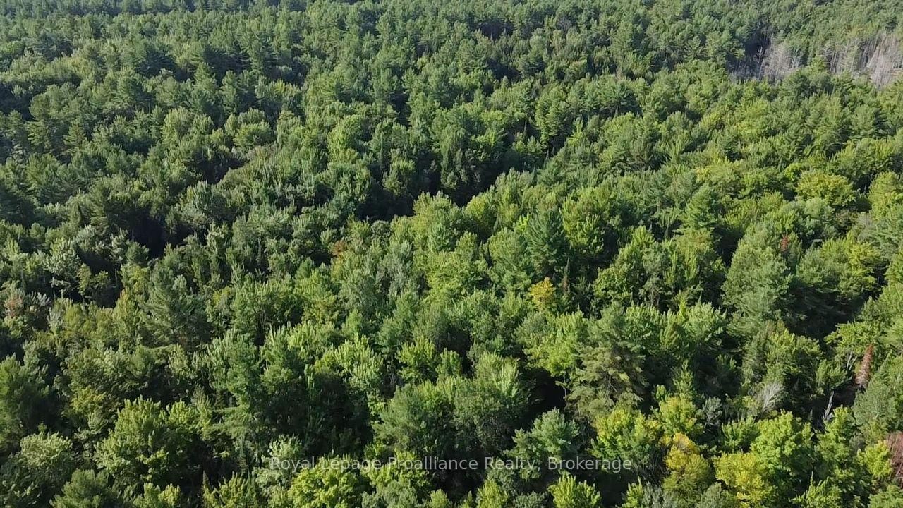 PL29C10 Kennebec Road • Addington Highlands, ON photo 17