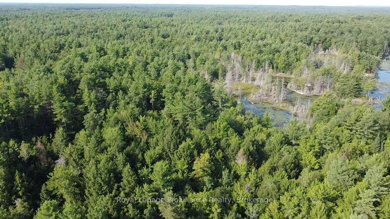 PL29C10 Kennebec Road • Addington Highlands, ON photo 21