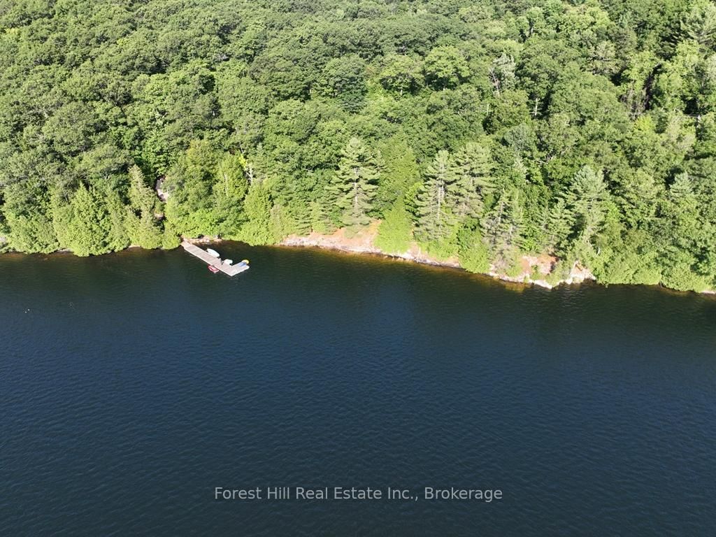 10689 Kawagama Lake WAO • Algonquin Highlands, ON photo 13
