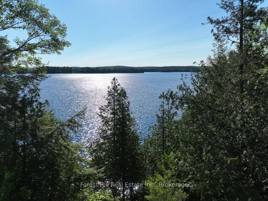 10689 Kawagama Lake WAO • Algonquin Highlands, ON photo 19