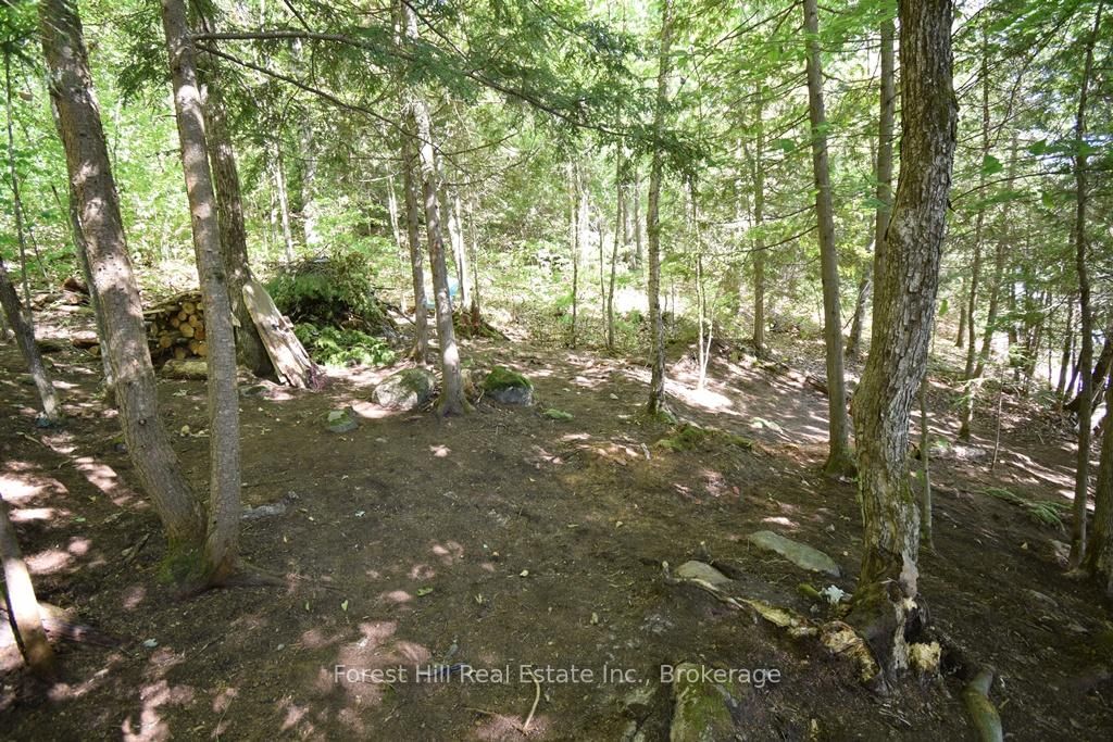10689 Kawagama Lake WAO • Algonquin Highlands, ON photo 24