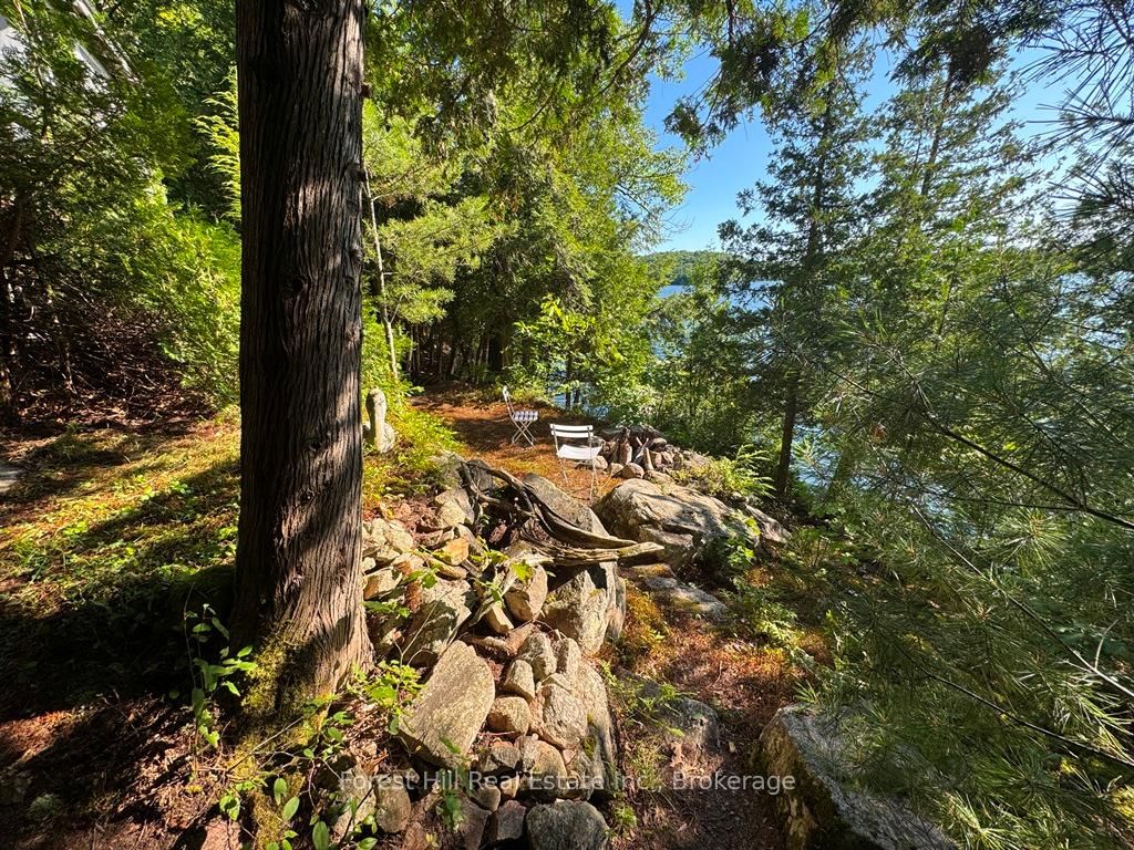 10689 Kawagama Lake WAO • Algonquin Highlands, ON photo 29
