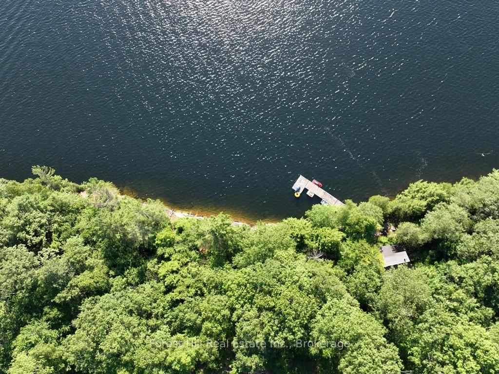 10689 Kawagama Lake WAO • Algonquin Highlands, ON photo 8
