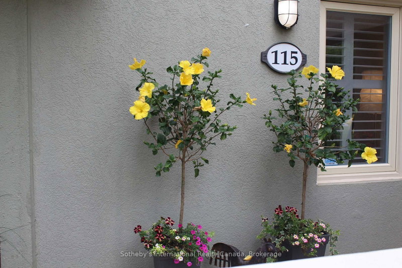 115 - 107 Wintergreen Place