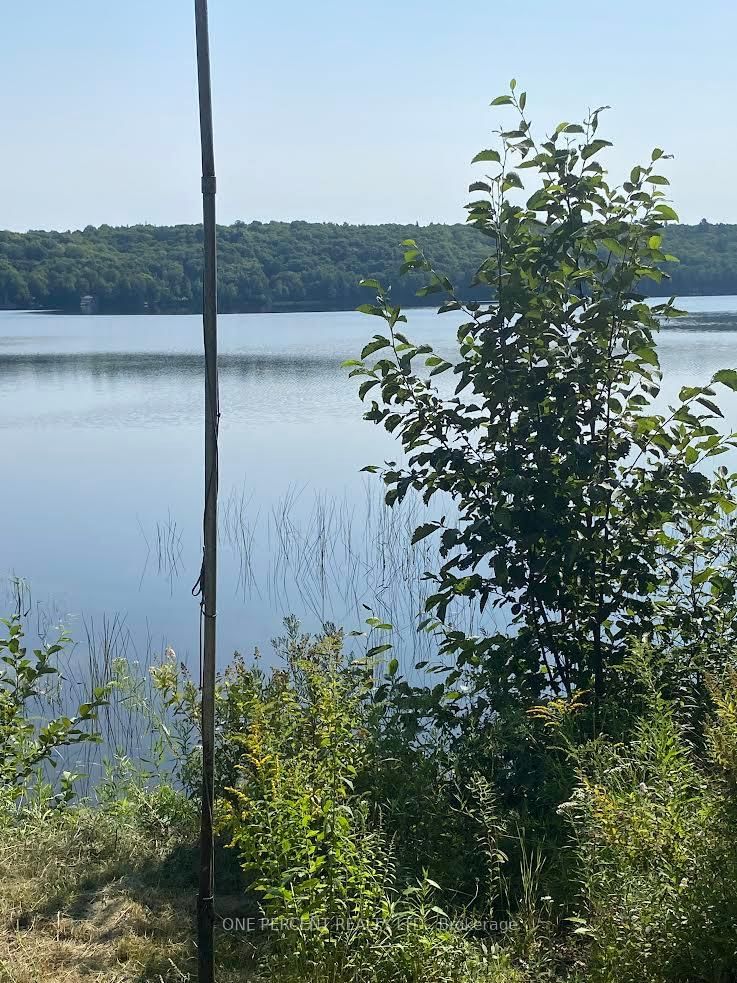 194 Maws Road • Huntsville, ON photo 3