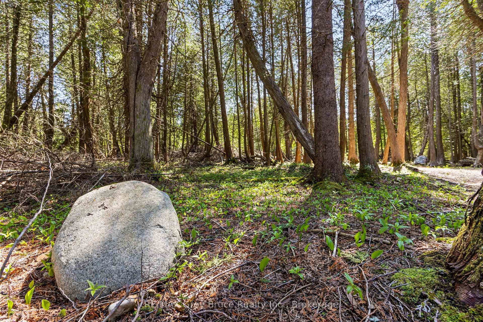 228 COREY Crescent • Northern Bruce Peninsula, ON photo 15