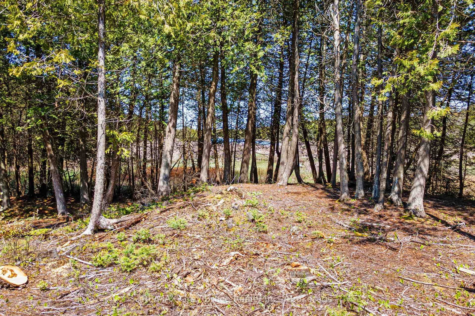 228 COREY Crescent • Northern Bruce Peninsula, ON photo 18