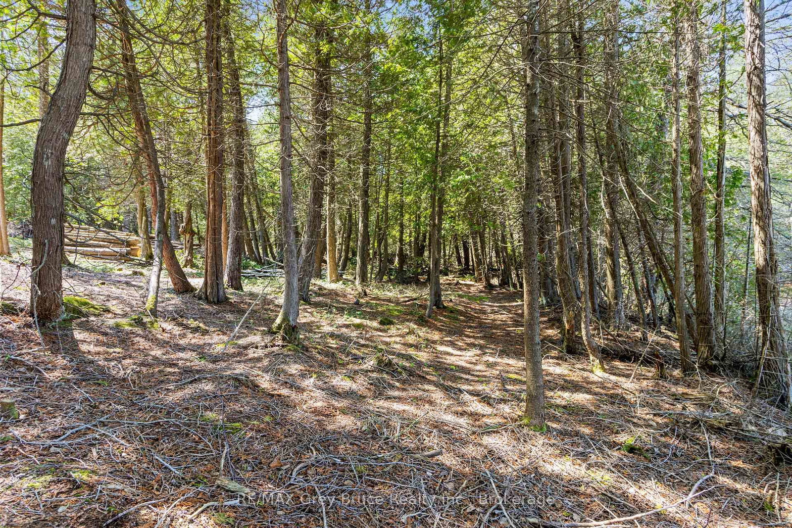 228 COREY Crescent • Northern Bruce Peninsula, ON photo 24