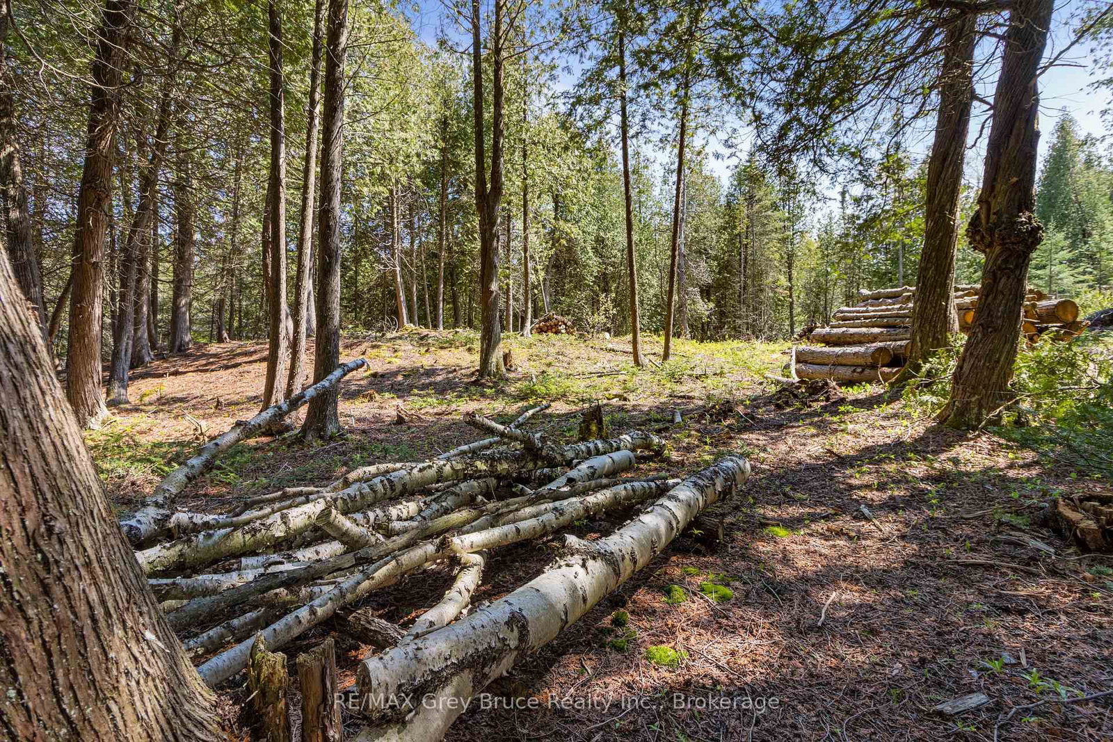 228 COREY Crescent • Northern Bruce Peninsula, ON photo 26