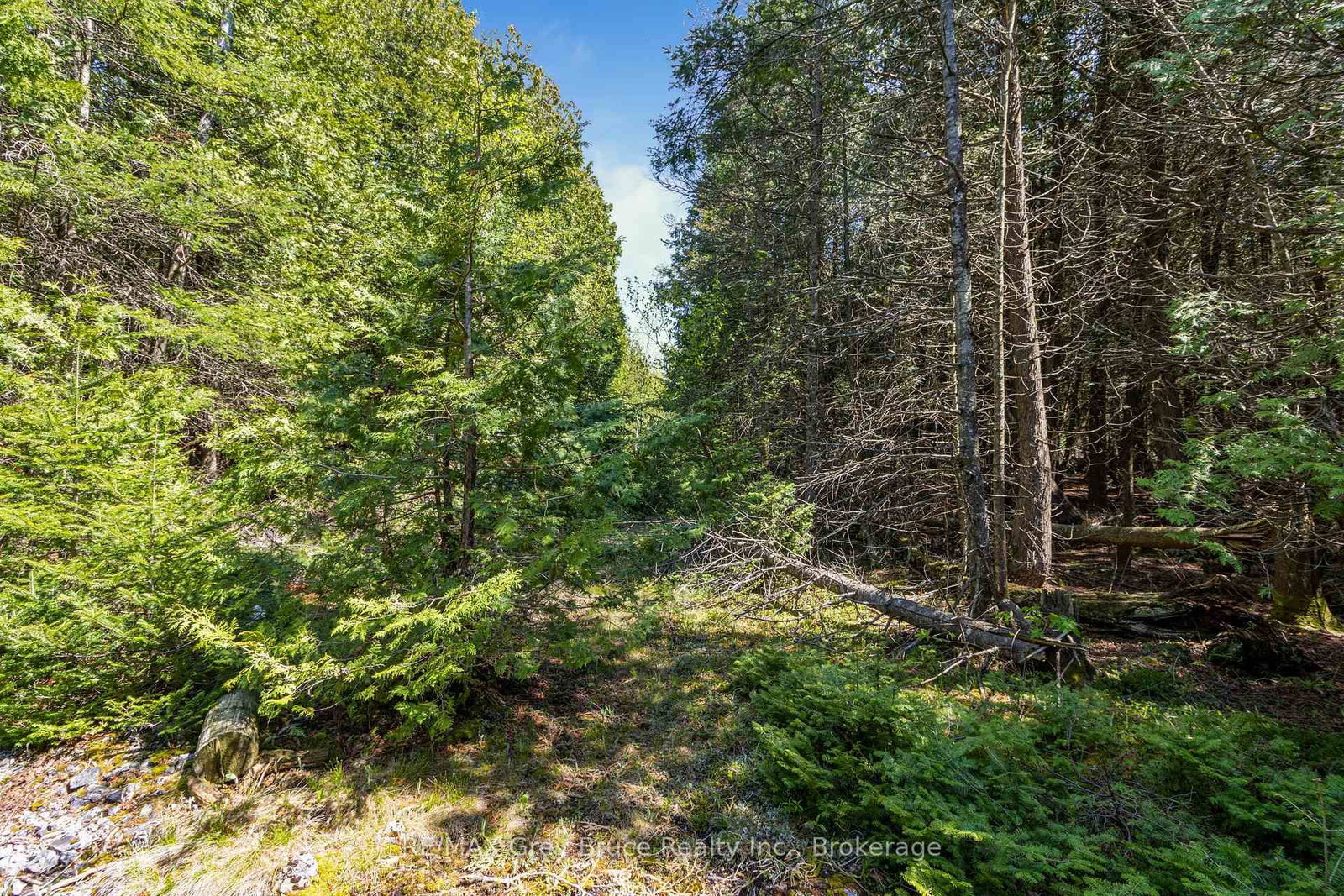228 COREY Crescent • Northern Bruce Peninsula, ON photo 27