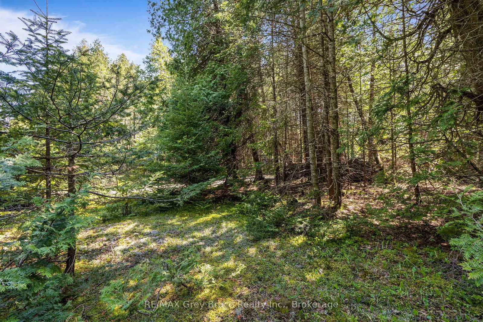 228 COREY Crescent • Northern Bruce Peninsula, ON photo 29
